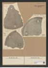 Aulacodiscus margaritaceus Ralfs (de-Toni-Nr.: Genus 182, Species 4515) Zeichnungen Sammlung Grunow Nr. 8087 (NHMW-BOT-W0377419)